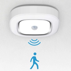 Motion Sensor Light